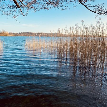 Landhaus Am See App. 2 Ponitz am See 외부 사진