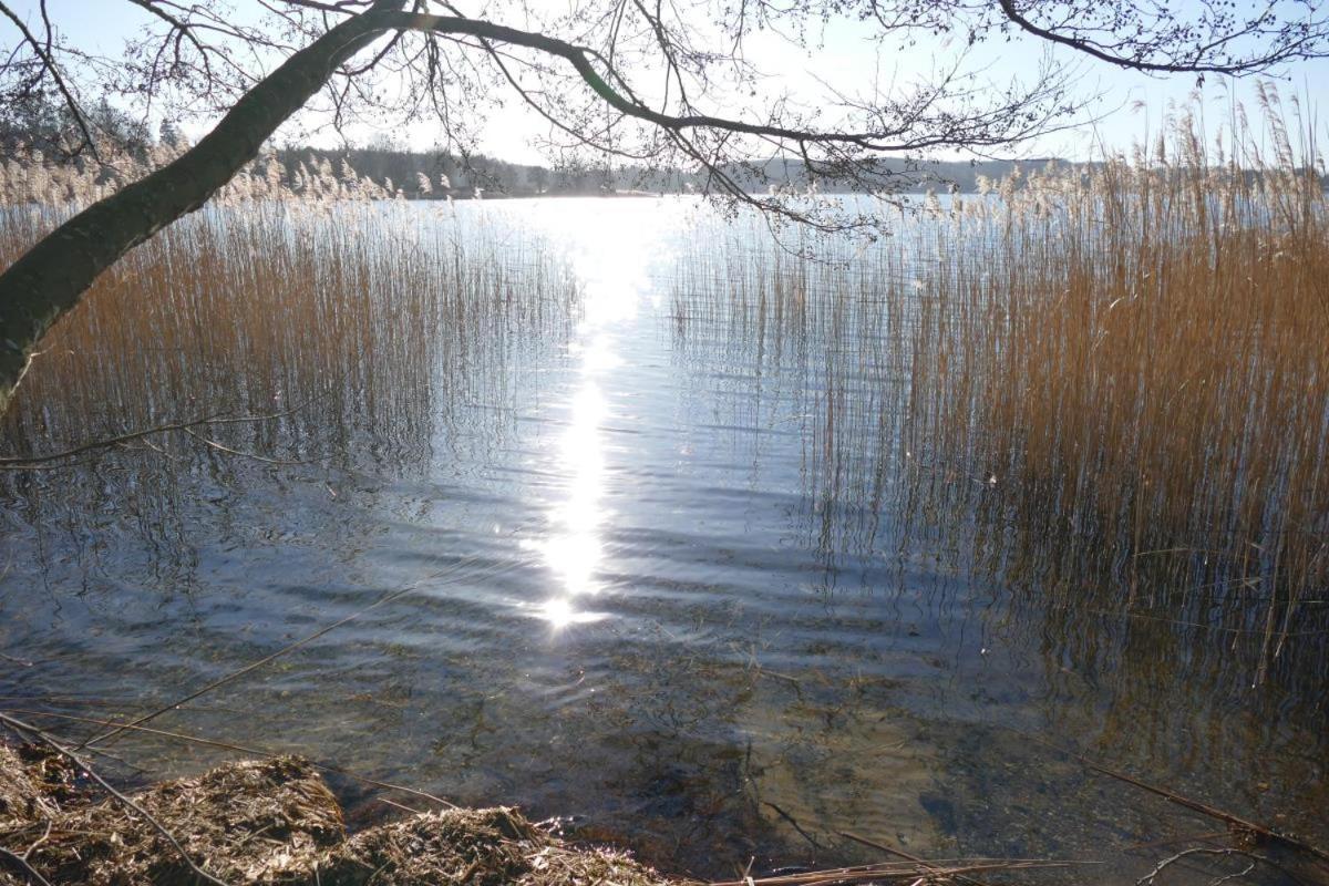 Landhaus Am See App. 2 Ponitz am See 외부 사진