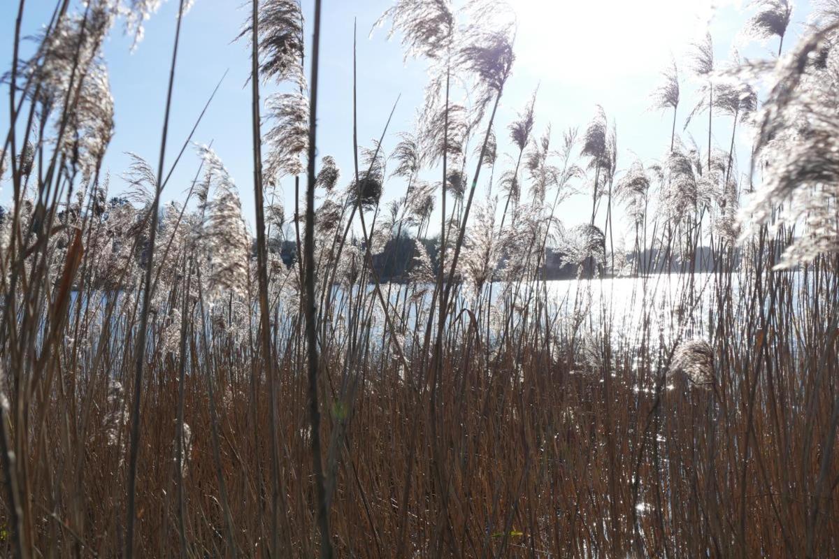 Landhaus Am See App. 2 Ponitz am See 외부 사진