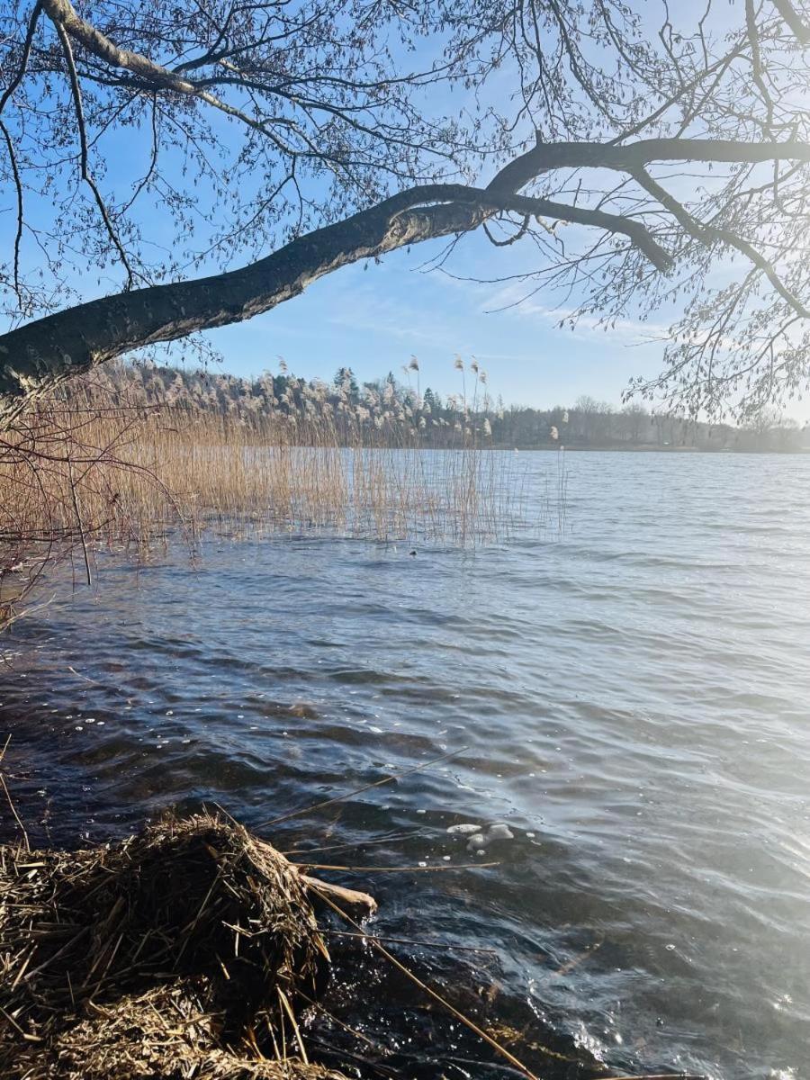 Landhaus Am See App. 2 Ponitz am See 외부 사진