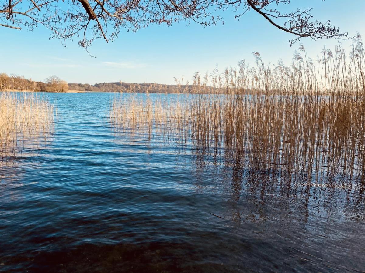 Landhaus Am See App. 2 Ponitz am See 외부 사진
